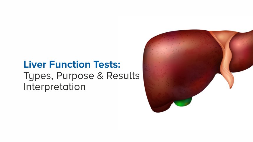 Liver Function Tests: Types, Purpose & Results Interpretation